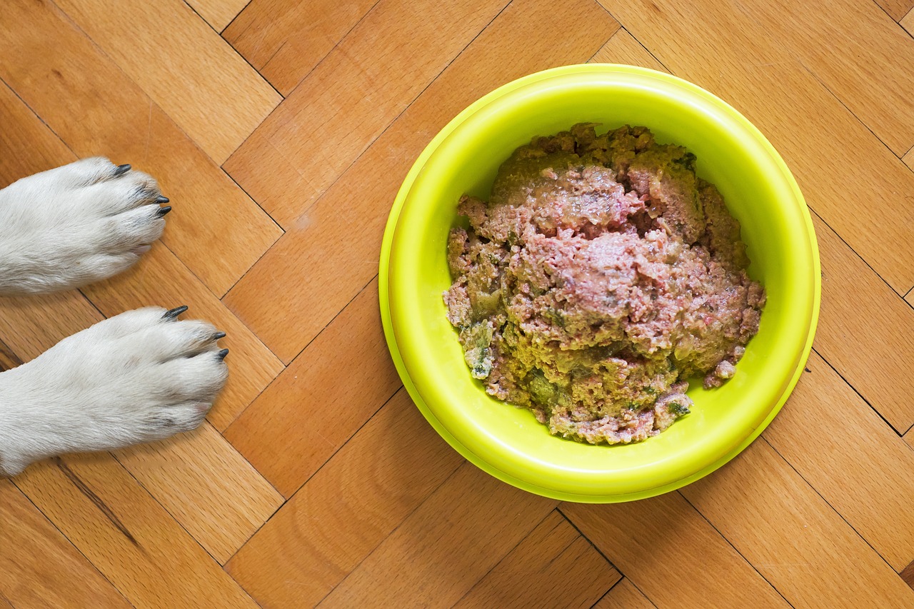 Descubre las 5 mejores marcas de comida para perros